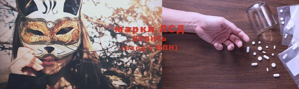 ГАЛЛЮЦИНОГЕННЫЕ ГРИБЫ Арсеньев