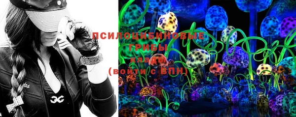 ГАЛЛЮЦИНОГЕННЫЕ ГРИБЫ Алексин