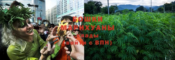 ГАЛЛЮЦИНОГЕННЫЕ ГРИБЫ Арсеньев